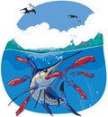 Blue Marlin Chasing Red Squid Vector Illustration