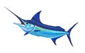 Blue Marlin Fish Transparent Background Ã¢â¬\' High-Quality Digital Artwork Royalty Free Stock Photo