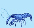 Blue marron crayfish kind shellfish illustration clip-art image