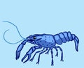 Blue marron crayfish kind shellfish illustration clip-art image Royalty Free Stock Photo