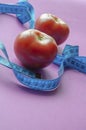 Blue measuring tape and ripe tomatoes Royalty Free Stock Photo