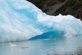 Blue Melting iceberg floating in Arctic