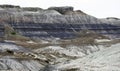 Blue Mesa, Petrified Forest National Park, Arizona, United States Royalty Free Stock Photo