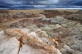 Blue Mesa, Petrified Forest National Park,