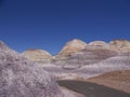 Blue Mesa Trail 4