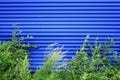 Blue metal plate fence background