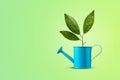 Blue metal watering can for flowers, with a sprout with leaves. On a green background. Copy space Design object. Royalty Free Stock Photo