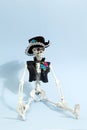 Blue mexican skeleton Royalty Free Stock Photo