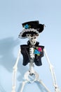 Blue mexican skeleton Royalty Free Stock Photo