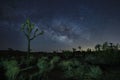 Blue Milky Way Core in the Desert of Joshua Tree National Park Royalty Free Stock Photo