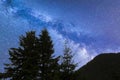 Blue Milky way falling stars pine trees silhouette Royalty Free Stock Photo