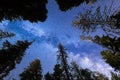 Blue Milky way falling stars pine trees silhouette Royalty Free Stock Photo