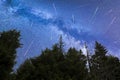 Blue Milky way falling stars pine trees silhouette Royalty Free Stock Photo