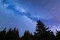 Blue Milky way falling stars pine trees silhouette Royalty Free Stock Photo