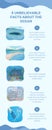 Blue Minimalist Illustrated Facts About Ocean Infographic Royalty Free Stock Photo