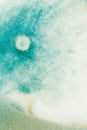 Blue mold background Royalty Free Stock Photo