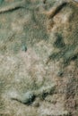Blue mold background Royalty Free Stock Photo