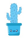 blue monday cactus