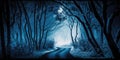 Blue monochrome color haunted path in dark forest Royalty Free Stock Photo