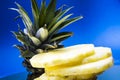 Blue monophonic background. The fresh cut pineapple on round segments. Green leaves. Tropical fruit. Vitamins and health. Royalty Free Stock Photo