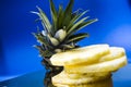 Blue monophonic background. The fresh cut pineapple on round segments. Green leaves. Tropical fruit. Vitamins and health. Royalty Free Stock Photo