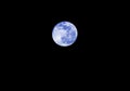 Blue moon on the absolutely black sky Royalty Free Stock Photo