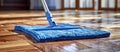 Blue Mop Cleaning Wooden Floor Royalty Free Stock Photo