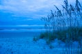 Blue Morning on Amelia Island Royalty Free Stock Photo