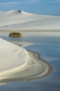 A blue morning sky reflects in a pool of rainwater in White Sands National Monument.