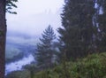 blue morning summer fog in wild deep spruce northern forest with river Royalty Free Stock Photo
