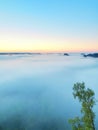 Blue morning, view over rock and fresh green trees to deep valley full of light mist. Dreamy spring landscape within daybreak Royalty Free Stock Photo