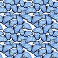 Blue Morphid butterflies seamless watercolor pattern design