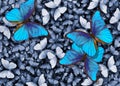 Blue morpho butterflies texture