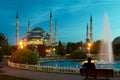 Blue mosque Royalty Free Stock Photo