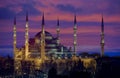 The Blue Mosque Royalty Free Stock Photo