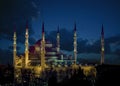 The Blue Mosque Royalty Free Stock Photo