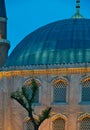 Blue mosque detail at night Royalty Free Stock Photo