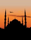 Blue Mosque in Istanbul Royalty Free Stock Photo