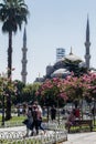 Blue Mosque Istanbul Turkey City Trip 2019 Garden around Royalty Free Stock Photo