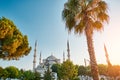 The Blue Mosque Istanbul, Turkey. Sultanahmet Camii. Royalty Free Stock Photo