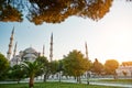 The Blue Mosque Istanbul, Turkey. Sultanahmet Camii. Royalty Free Stock Photo