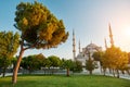 The Blue Mosque Istanbul, Turkey. Sultanahmet Camii. Royalty Free Stock Photo