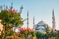 The Blue Mosque Istanbul, Turkey. Sultanahmet Camii. Royalty Free Stock Photo