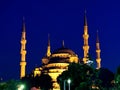 Blue Mosque on night