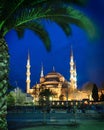 Blue Mosque at night Royalty Free Stock Photo