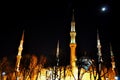 Blue Mosque at night