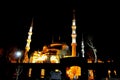 Blue Mosque at night