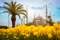 Blue Mosque Sultan ahmet Camii, Istanbul