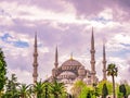 The Blue Mosque, Sultanahmet Camii, Istanbul, Turkey Royalty Free Stock Photo