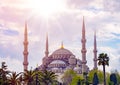 The Blue Mosque, Sultanahmet Camii, Istanbul, Turkey Royalty Free Stock Photo